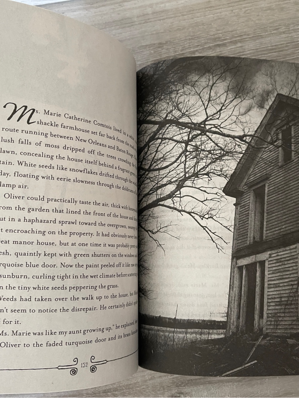 The Asylum Novellas by Madeleine Roux - Picture 8 of 8